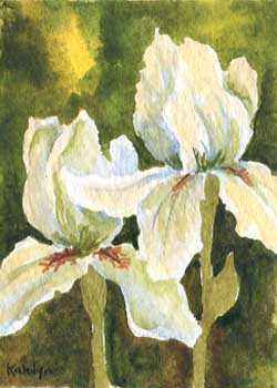 "Iris Duet" by Karolyn Alexander, Whitewater WI - Watercolor - SOLD